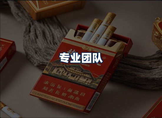 专业团队